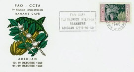 usf006
