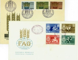 usf058